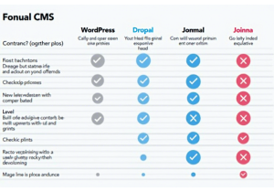 如何选择适合的CMS进行网站开发