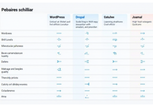 CMS建站入门：如何选择合适的内容管理系统