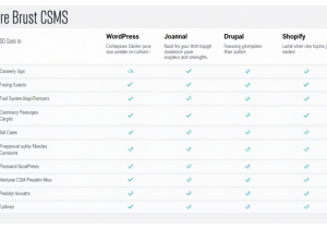 常用CMS选择与建站经验分享