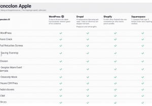 常用CMS建站工具对比分析