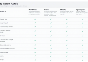 如何选择合适的CMS建站系统